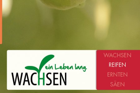 Der zweite Teil "Reifen" der Reihe "Wachsen ein Leben lang" ist erschienen.(c) Behelfsdienst Erzdiözese Wien Ausschnitt des Covers: Der zweite Teil "Reifen" der Reihe "Wachsen ein Leben lang" ist erschienen.