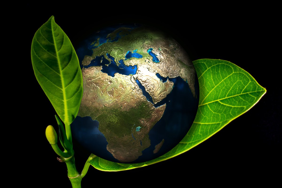 Zum Wohle der Schöpfung fordern die Umweltbeauftragten, die CO2-Emissionen weltweit zu reduzieren.