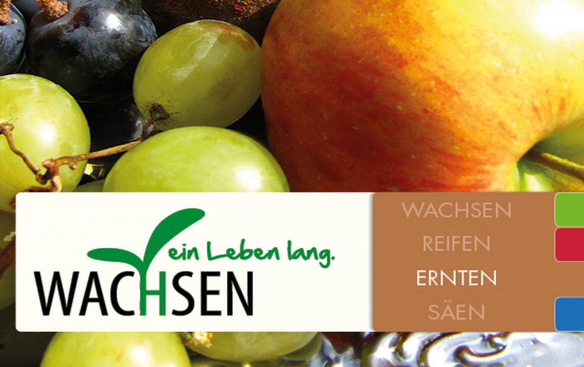 Die ökumenische Behelfsreihe gibt Tipps und Anregungen für die Arbeit mit Menschen im Alter. (Foto: Behelfsdienst Erzdiözese Wien/Geriatrieseelsorge Superintendentur Wien)