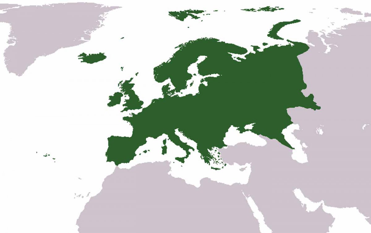 Minderheiten in Europa ergeben eine &quot;Mehrheit der Fantasie&quot;, meinte EU-Kommissar Johannes Hahn beim Symposium in Wien. Grafik: wikimedia/cumhur