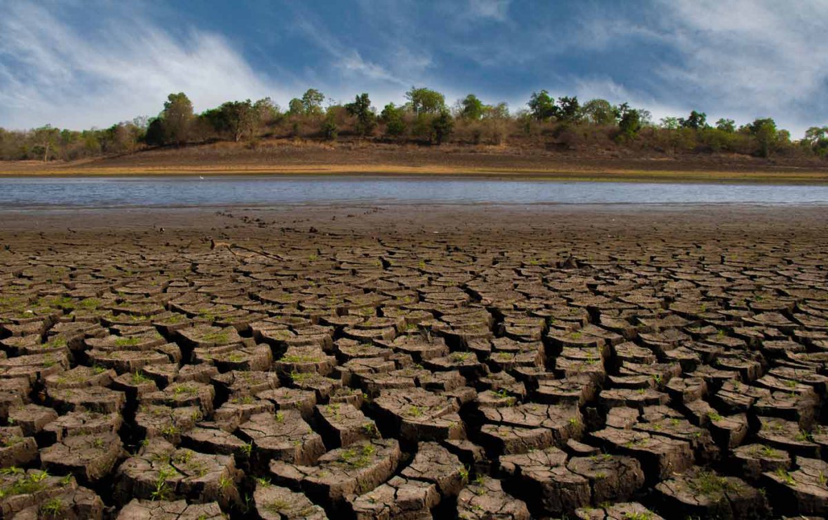 „Den größten Schaden durch den Klimawandel haben aktuell Menschen in den Ländern des globalen Südens, die am wenigsten für ihn verantwortlich sind&quot;, sagt Nina Hechenberger, Leiterin von Brot für die Welt. Foto: pexels/Samarth Singhai