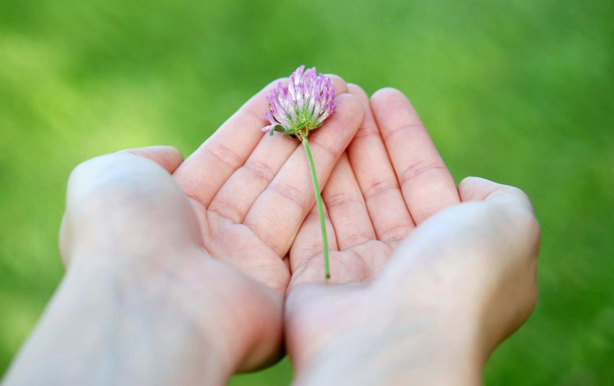 &quot;Es ist wichtig für Menschen, etwas geben zu können. Das gehört zu unserer Würde.&quot; Foto: pixabay