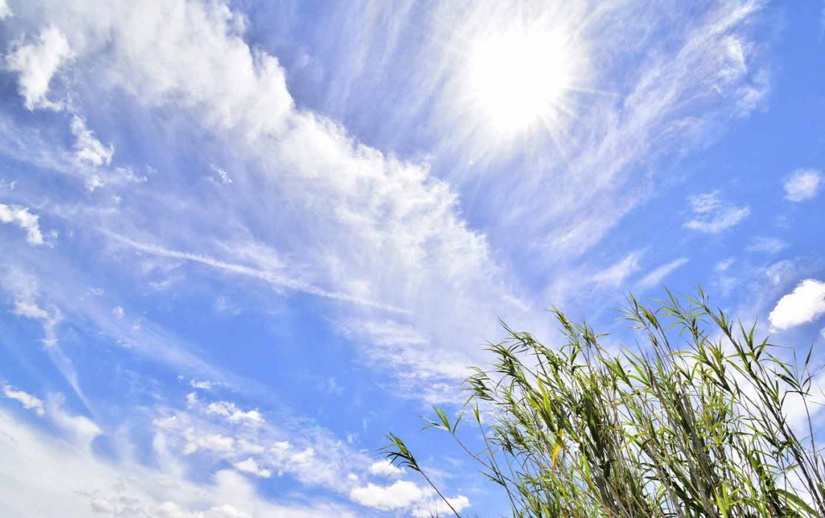 Die Vertreterinnen und Vertreter der Initiative appellieren an alle Menschen, &quot;einen achtsamen Umgang mit der Natur zu pflegen&quot;. Foto: pixabay