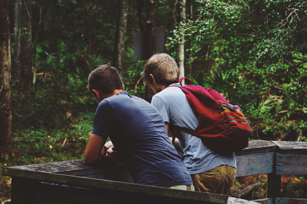   &quot;Kinder und Jugendliche haben eine eigene Welt außerhalb des Elternhauses, in der sie sich erproben können. Die letzten Wochen waren eine harte Zeit für uns alle.&quot; Foto: pixabay/Free-Photos