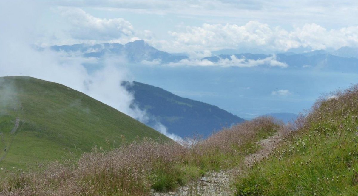 Ein schmaler Weg in den Bergen mit großartiger Aussicht auf die Natur.